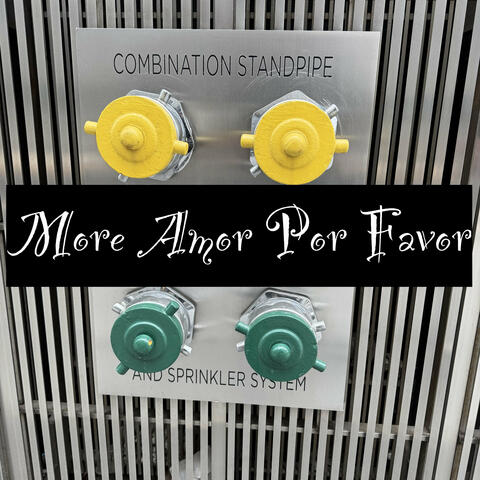 More amor por favor album art