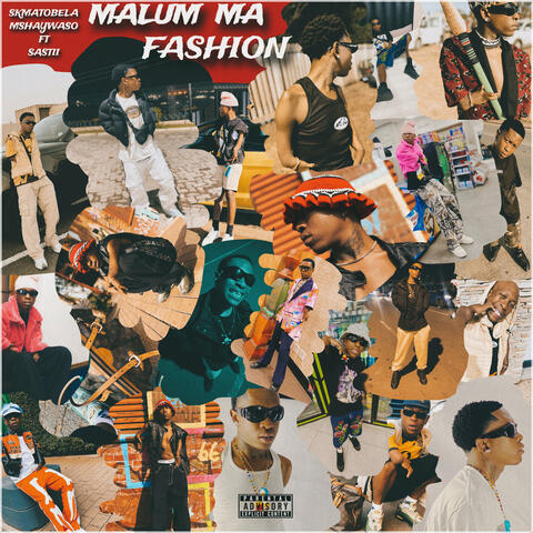 Malum Ma Fashion album art