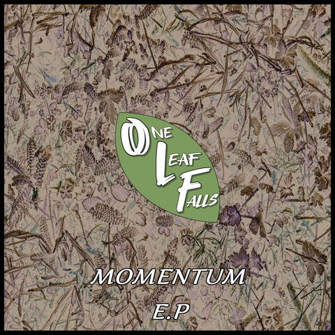 Momentum album art
