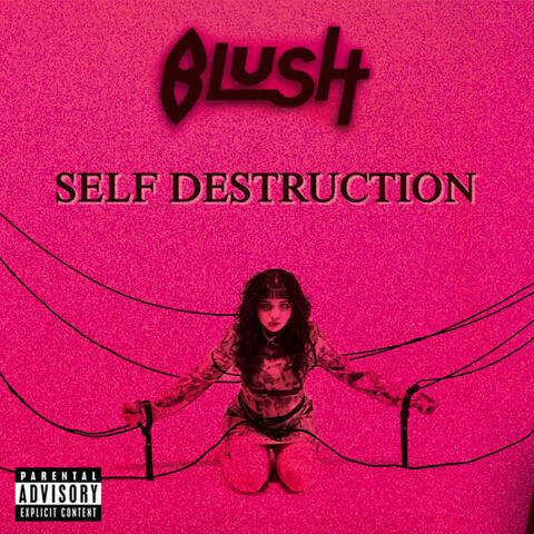 Self Destruction album art
