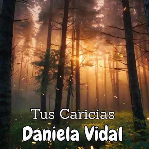 Tus Caricias album art