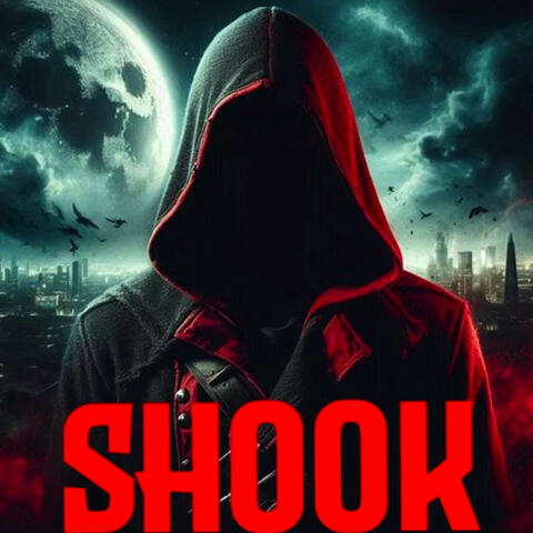 Shook album art