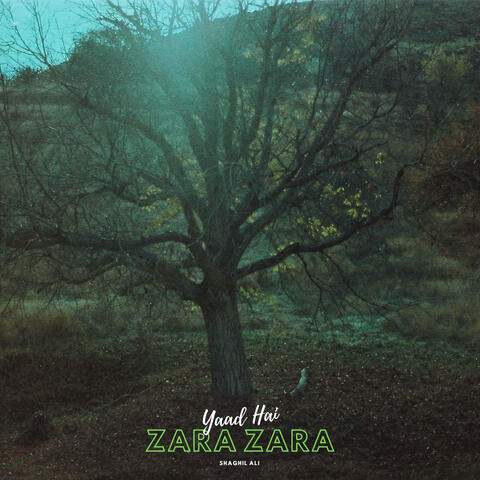 Yaad Hai Zara Zara album art