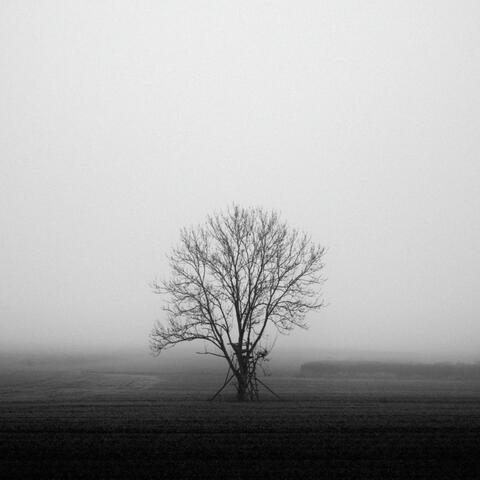 Zoom In album art