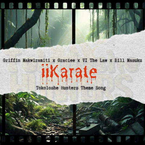 Iikarate (Tokoloshe Hunters Theme Song) album art