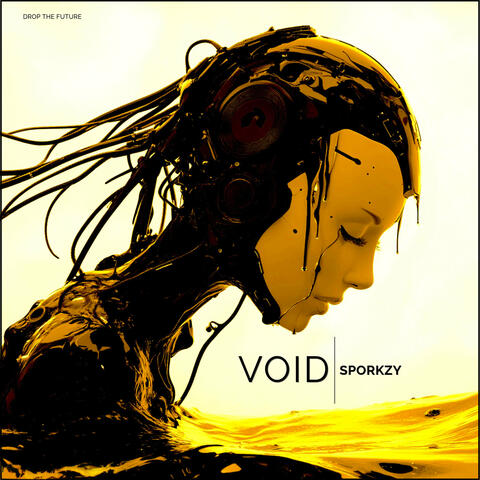 Void album art