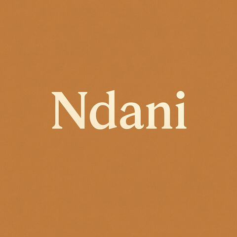 Ndani album art