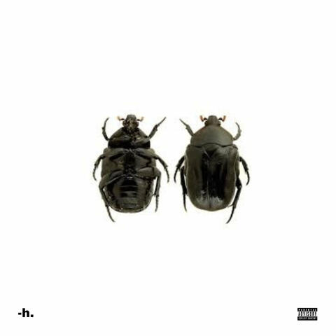 Beetle album art