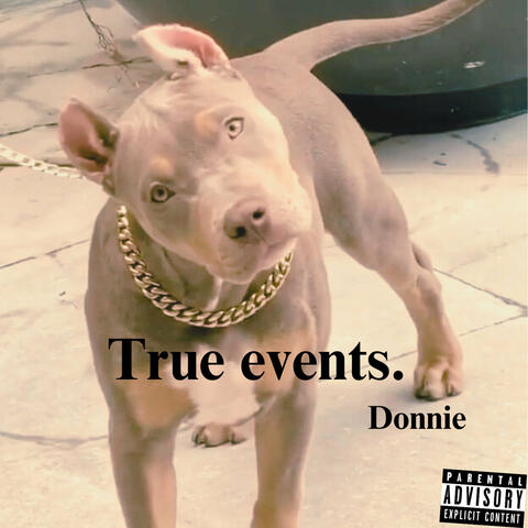 True Events album art