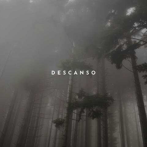 Descanso album art