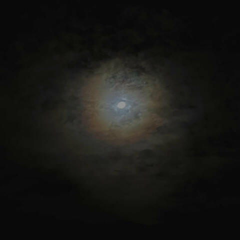Late Night Date (Remix) album art