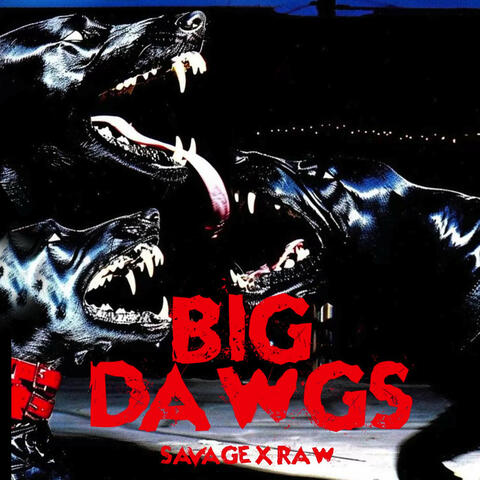 BIG DAWGS album art