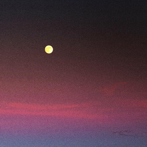 Faux paradis ? album art