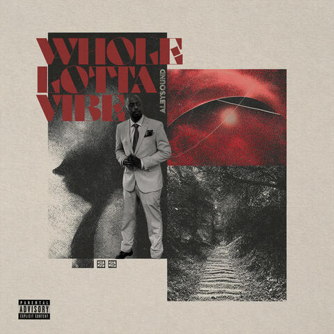 Whole Lotta Vibe album art