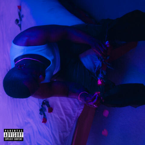 She Loves Me, She Loves Me Not album art