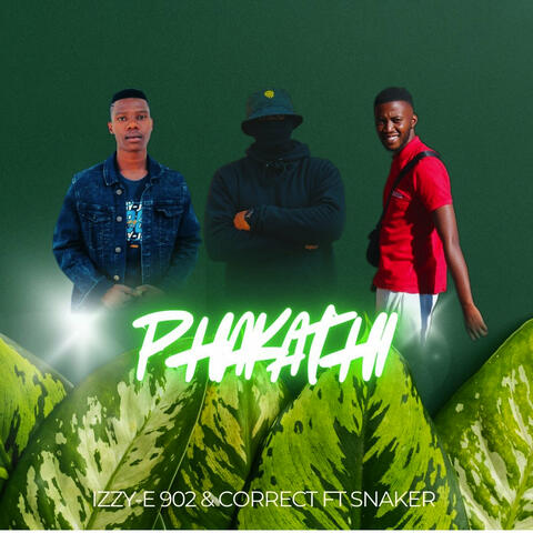 Phakathi album art
