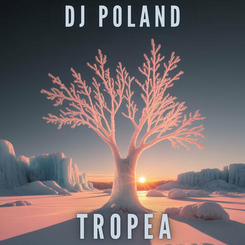 Tropea album art
