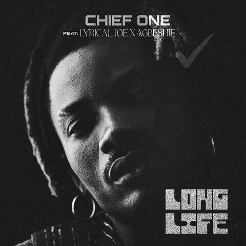 Long Life album art