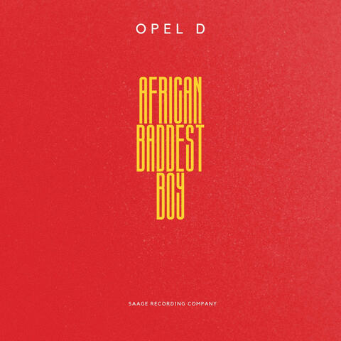 African Baddest Boy album art