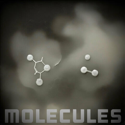 Molecules album art