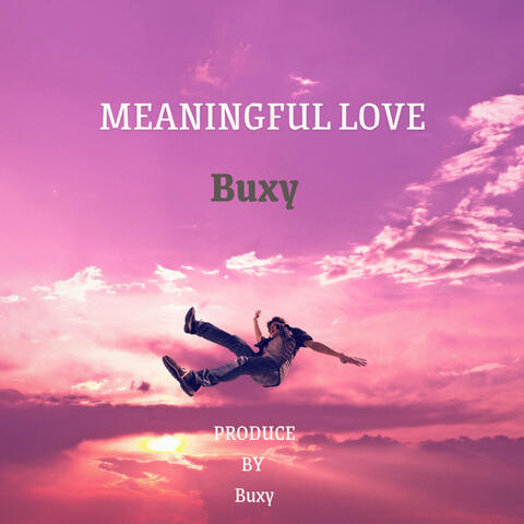 Meaningful Love album art