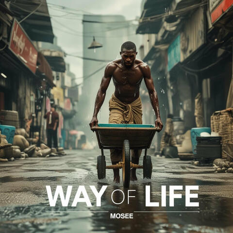 Way of Life album art
