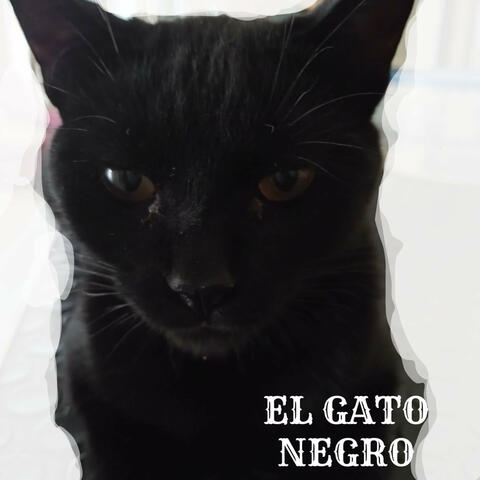 El Gato Negro album art