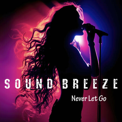 Never Let Go album art