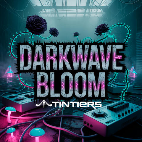 Darkwave Bloom album art