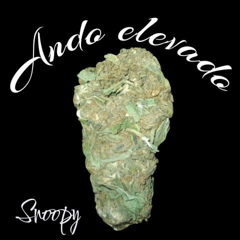 Ando Elevado album art