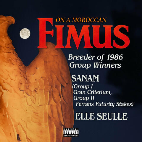 On a Moroccan album art