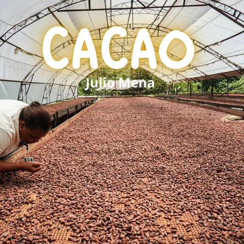 Cacao album art