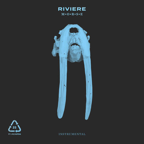 Morse Instrumental album art