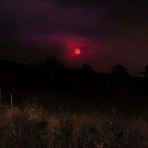 All Things Considered, You Were the Best album art