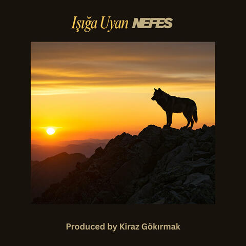 Işığa Uyan album art