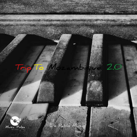 Trip to Mozambique 2.0 album art