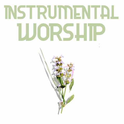 Instrumental Worship album art