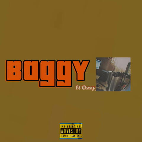 Baggy album art