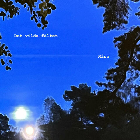 Måne album art