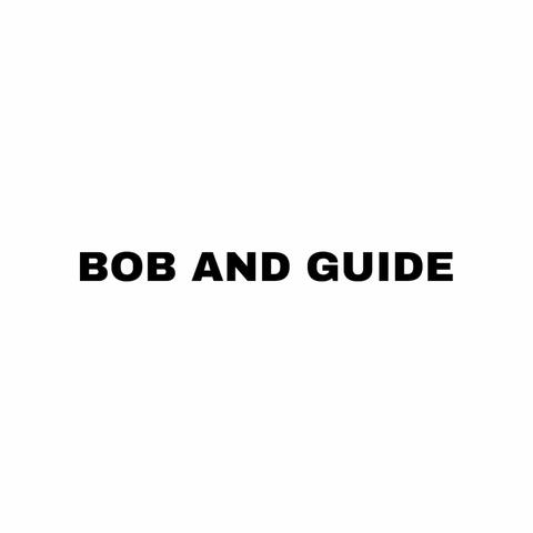 Bob and Guide album art