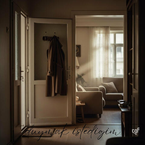 Duymak İstediğim album art