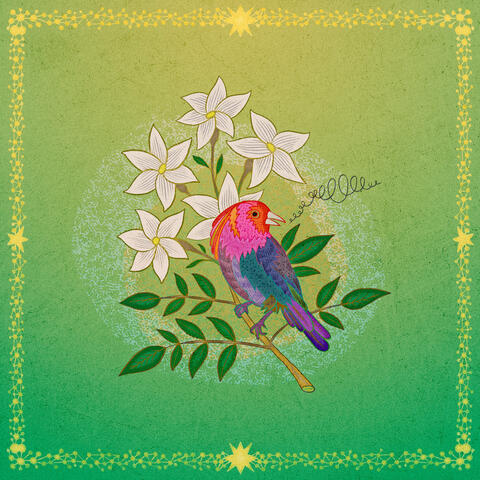 El Pajarillo album art