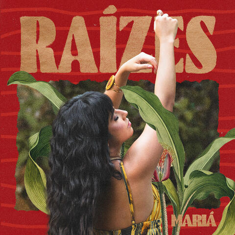 Raízes album art