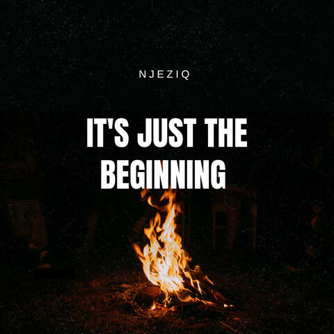 It's Just the Beginning album art
