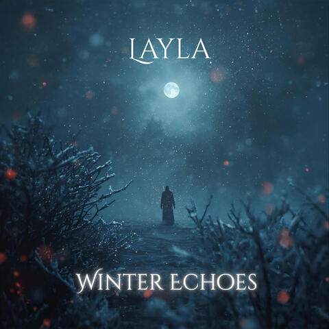 Winter Echoes album art