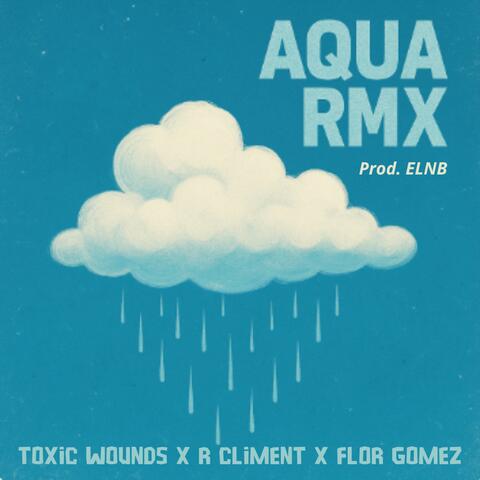 Aqua (Remix) album art