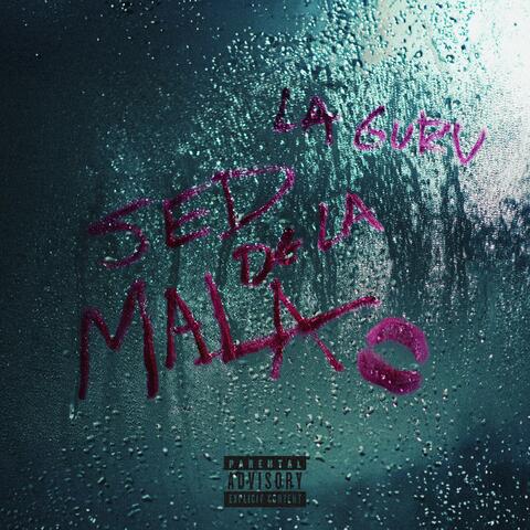 SDLM album art