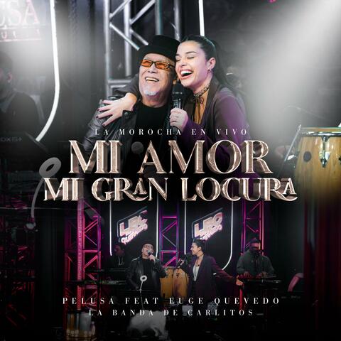Mi Amor, Mi Gran Locura album art
