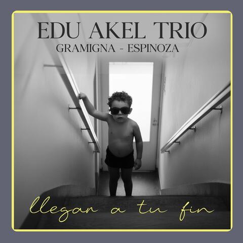 Llegar A Tu Fin album art