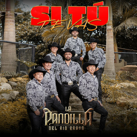 Si Tú Te Vas album art